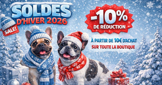 Les soldes sur Bouledogue4ever, c’est maintenant !