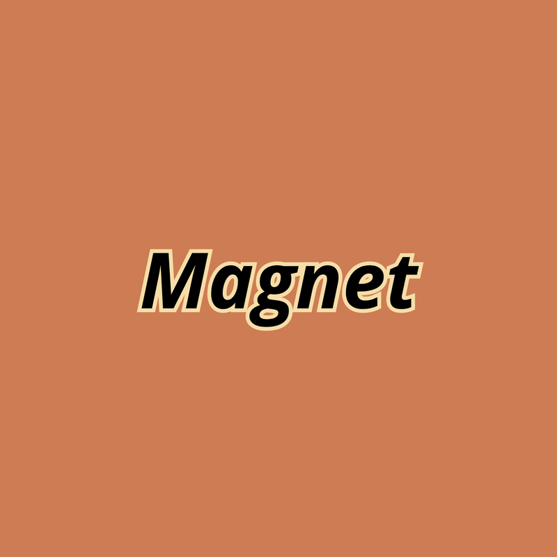 Magnet