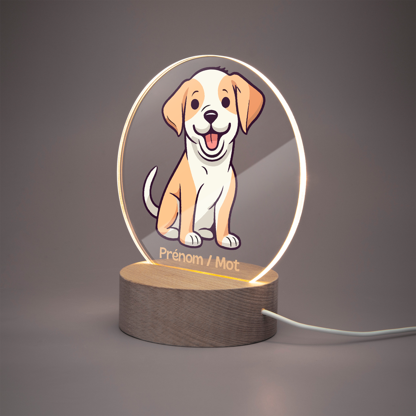 Lampe/Veilleuse - Chien