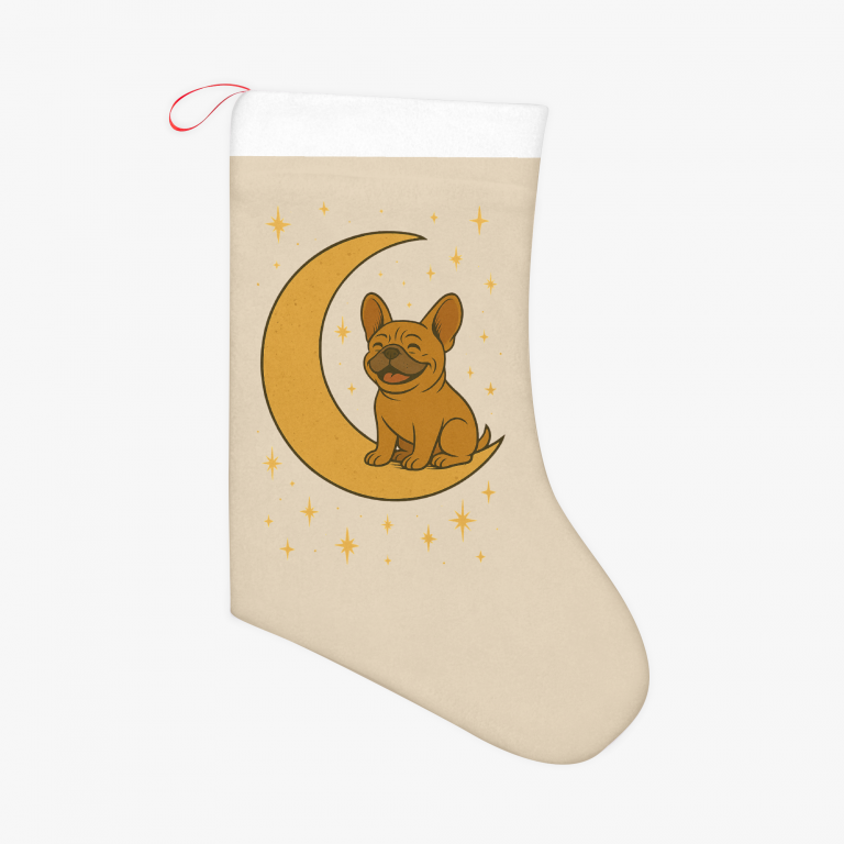 Chaussette de Noël - Plusieurs modèles