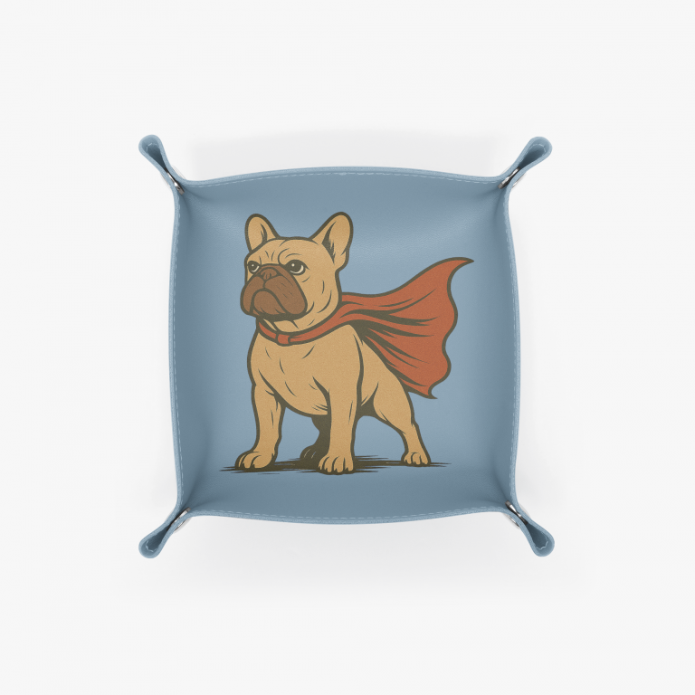 Vide-poche bouledogue - super-héros