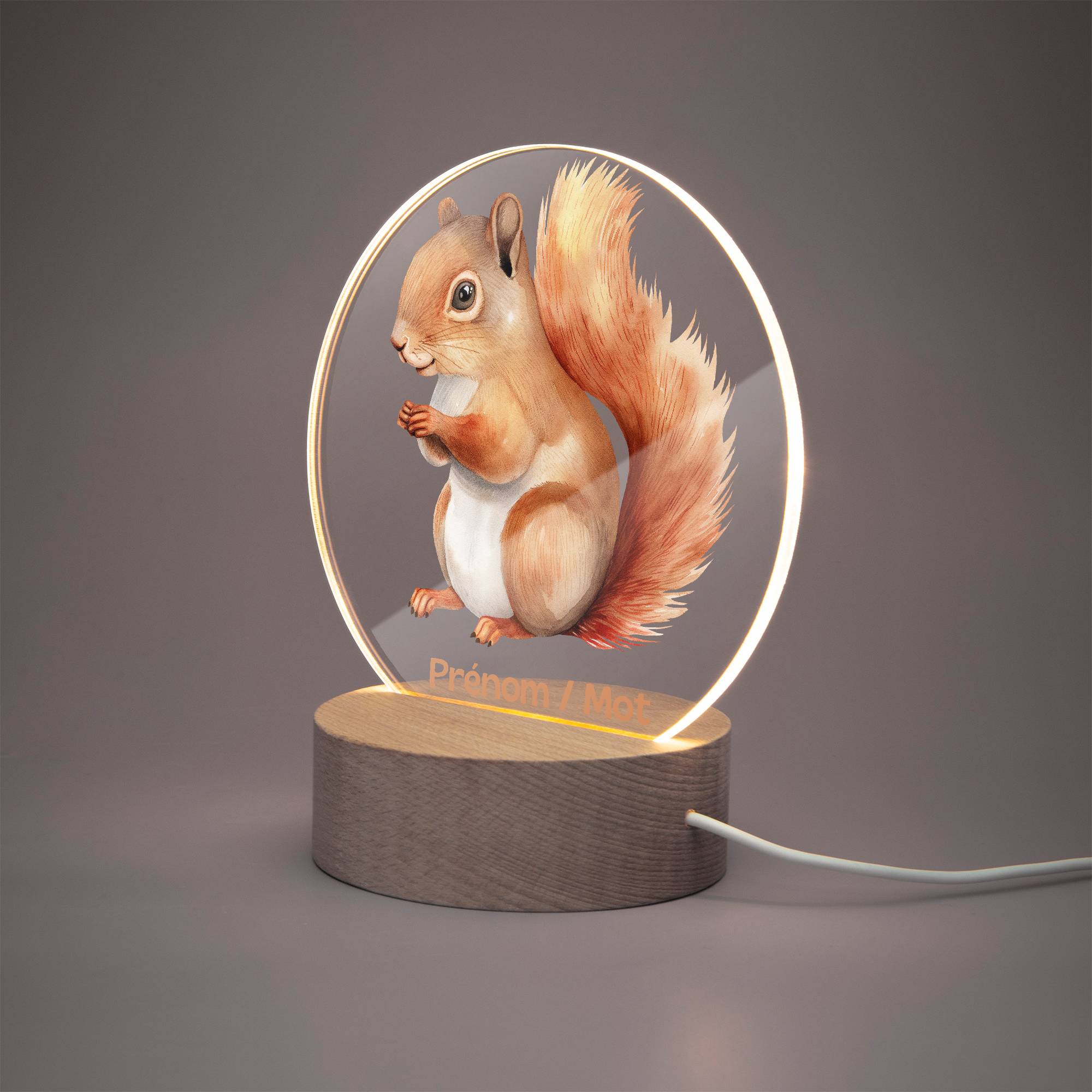 Lampe LED personnalisée en acrylique – Veilleuse décorative écureuil