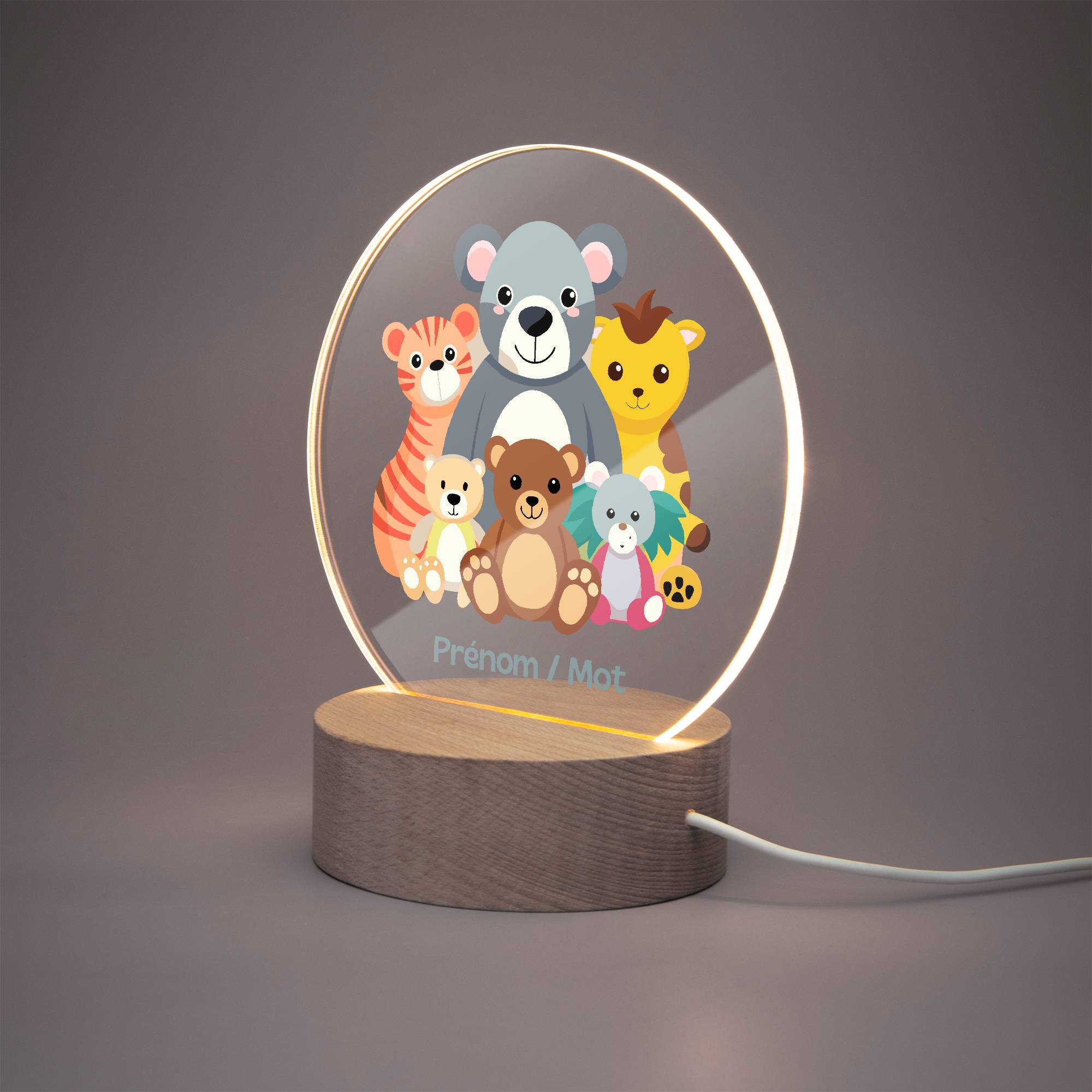 Lampe LED personnalisée en acrylique – Veilleuse décorative Animaux