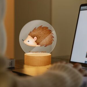 Lampe LED personnalisée en acrylique – Veilleuse décorative hérisson