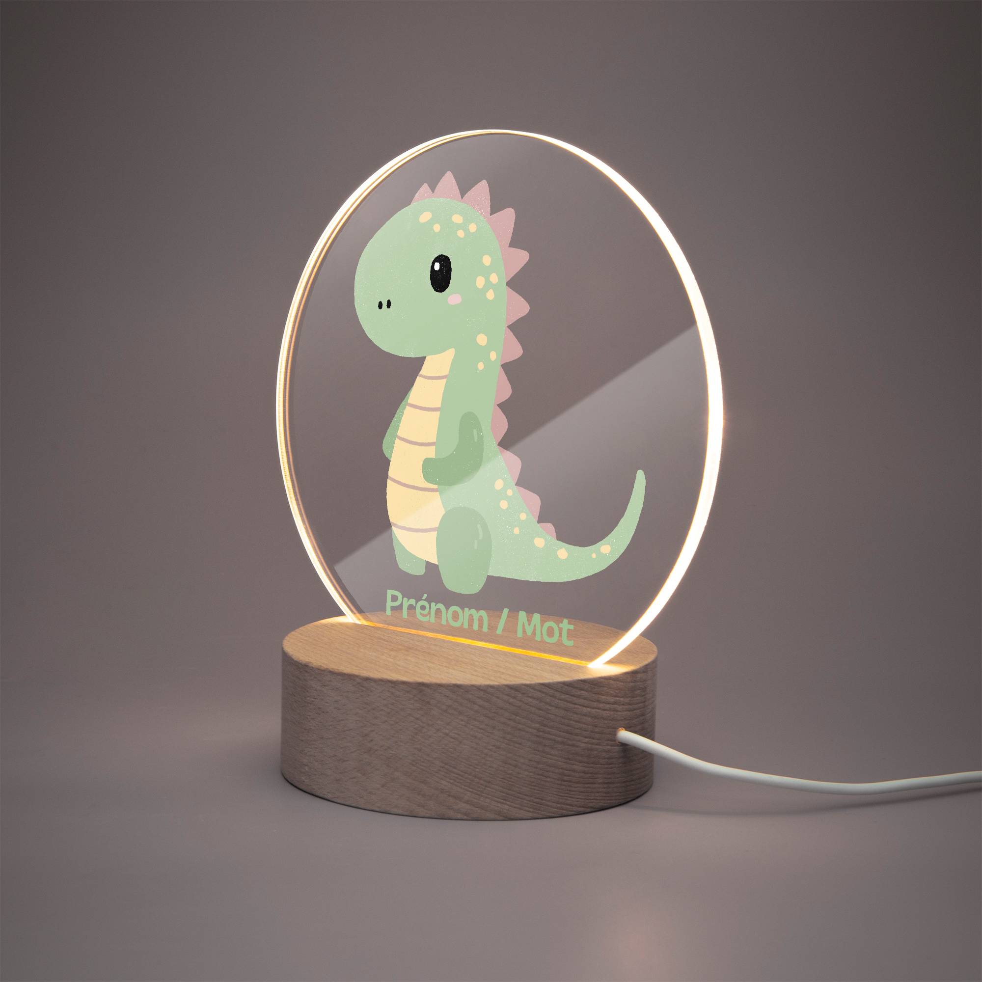 Lampe LED personnalisée en acrylique – Veilleuse décorative Dino