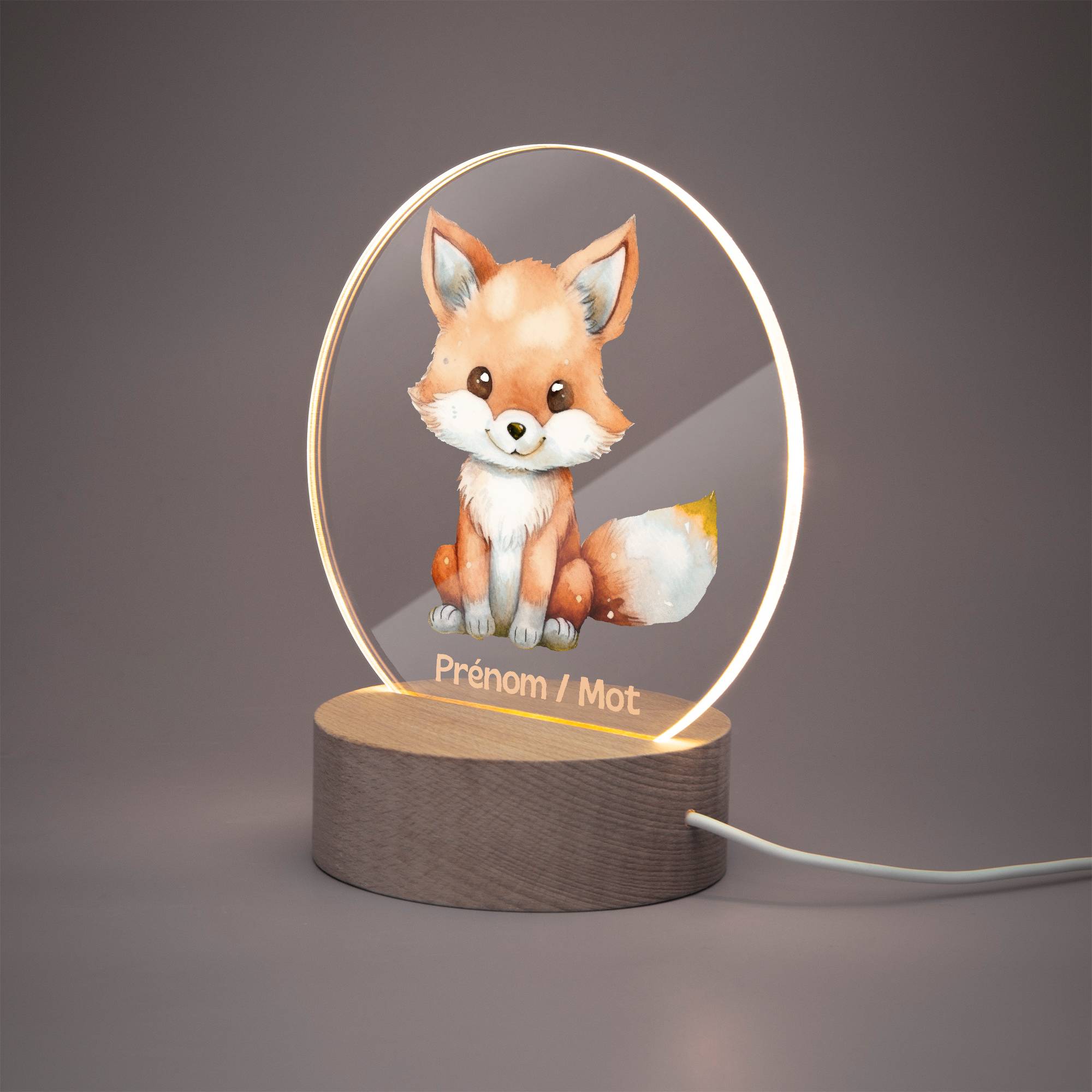 Lampe LED personnalisée en acrylique – Veilleuse décorative Renard