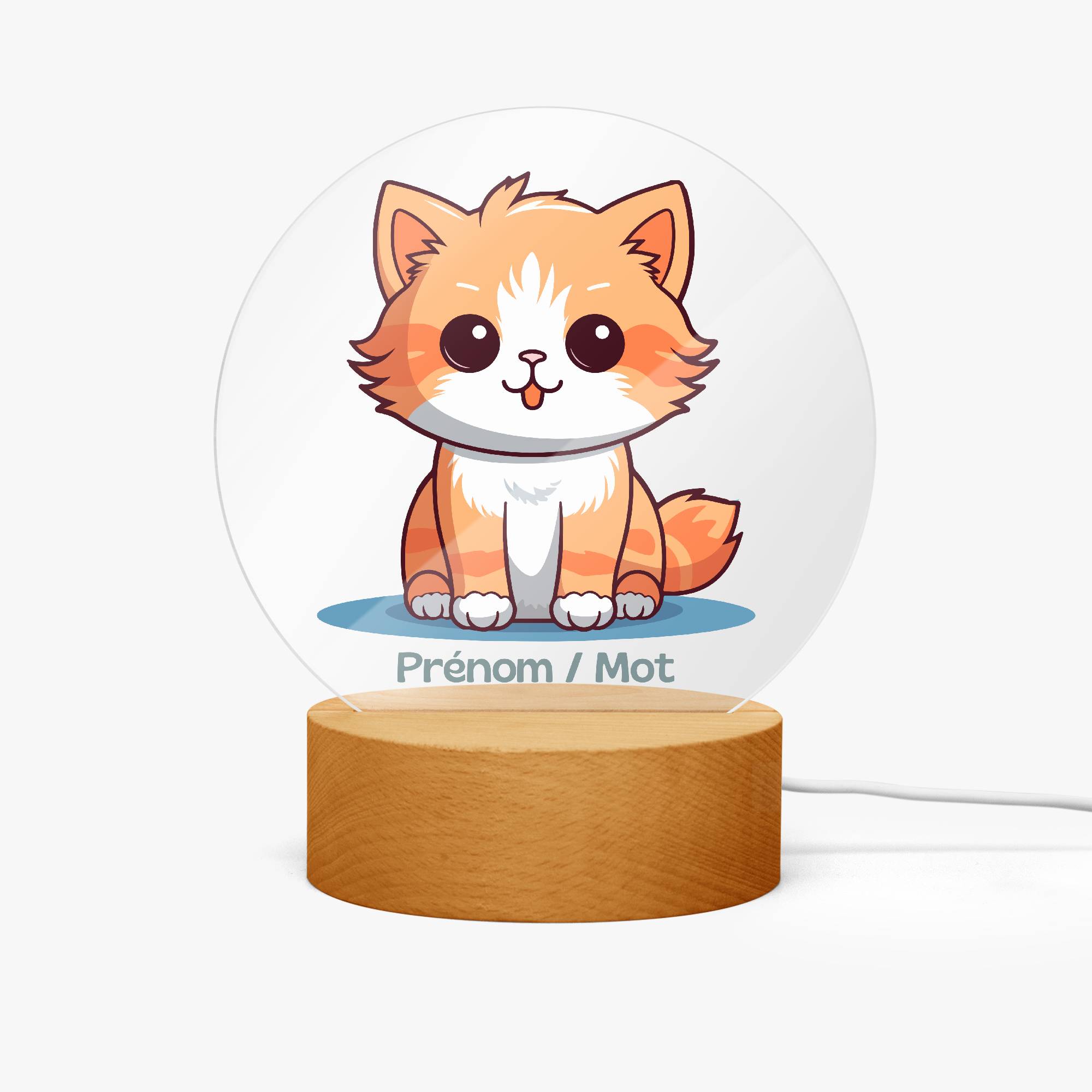 Lampe LED personnalisée en acrylique – Veilleuse décorative chat