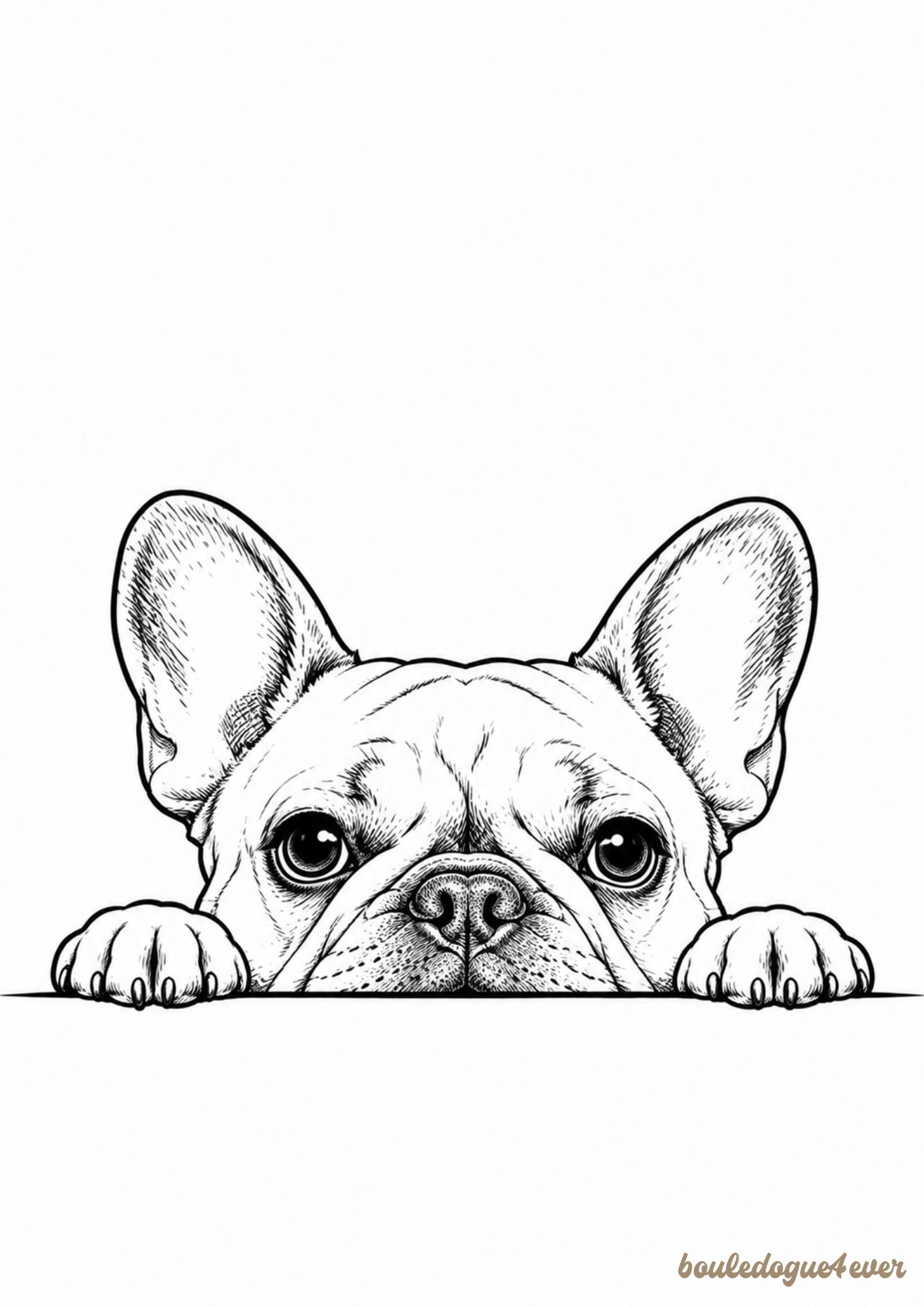 Affiche Bouledogue Français – Illustration minimaliste noir et blanc